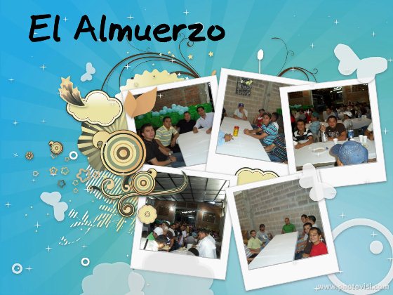 fiesta4